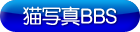 ǭ�̿�BBS/Cat Photo BBS