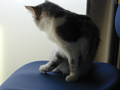 �Υ륦��������� �ե��쥹�� ����å�