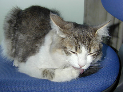 �Υ륦��������� �ե��쥹�� ����å�