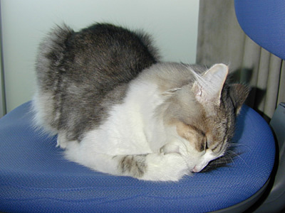 �Υ륦��������� �ե��쥹�� ����å�