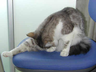 �Υ륦��������� �ե��쥹�� ����å�