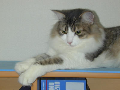 �Υ륦��������� �ե��쥹�� ����å�