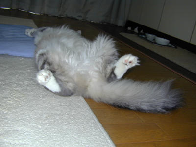 �Υ륦��������� �ե��쥹�� ����å�